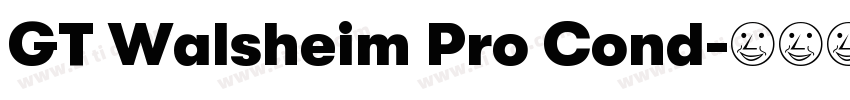 GT Walsheim Pro Cond字体转换